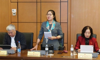 Đại biểu Quốc hội Leo Thị Lịch: Cần quy định cụ thể hơn về trách nhiệm tư vấn bảo hiểm 